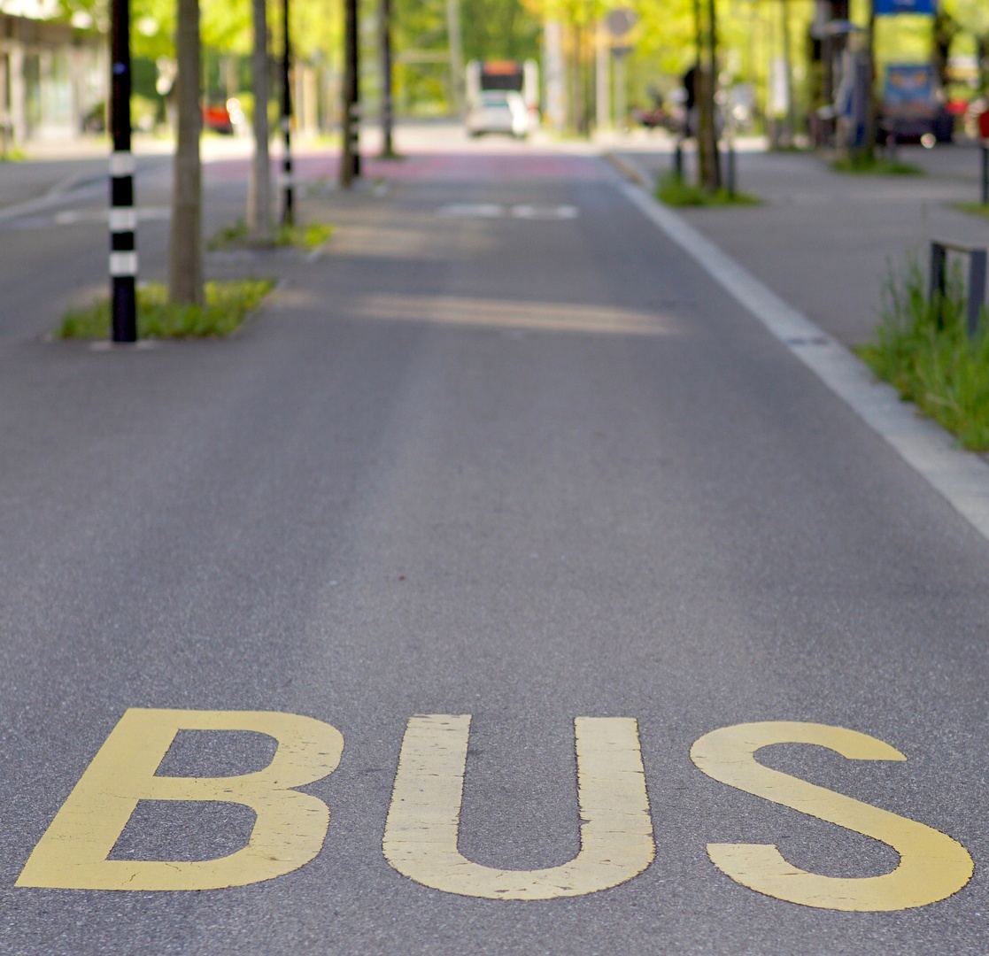 Busbegeleider
